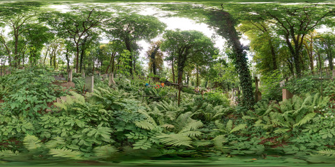 Old cemetery in summer. Graveyard with green trees Tombs in the forest with grass. 3D spherical...