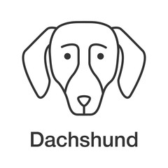 Dachshund linear icon