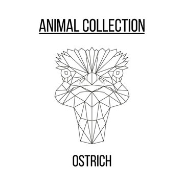Ostrich head geometric lines silhouette isolated on white background vintage vector design element illustration