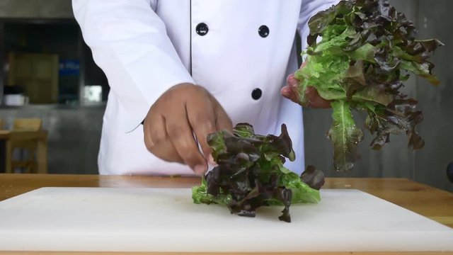 Close up of chief man making salad healthy food and chopping lettuce on cutting board.