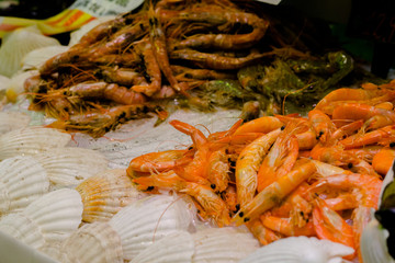 Seafood in assortment, royal shrimps.