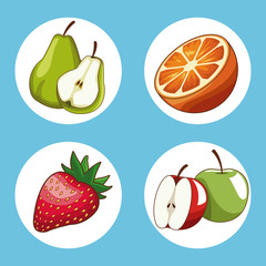 Set of fruits round icons collection vector illustration graphic design