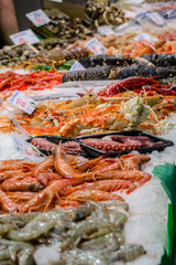 Seafood in assortment, royal shrimps.