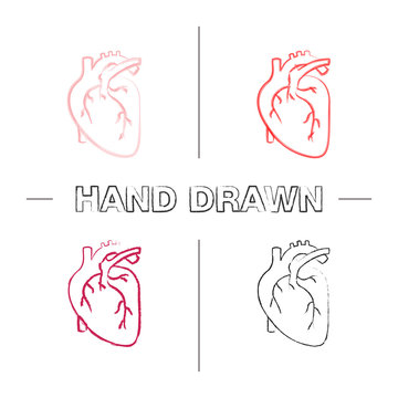 Human heart anatomy hand drawn icons set