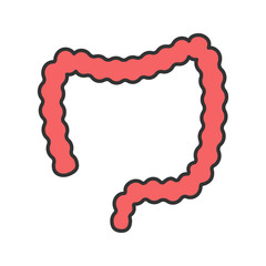Large intestine color icon