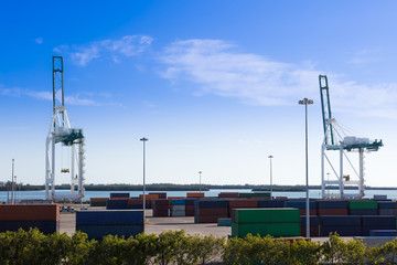 Fototapeta na wymiar Industrial port in Miami, shipyard, cargo cranes and containers