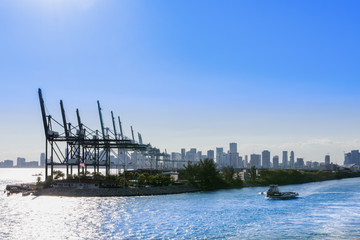 Industrial port in Miami, shipyard, cargo cranes  and containers