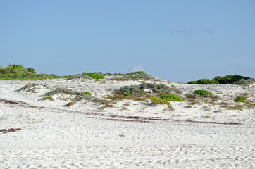 Caribbean Sea beach with sky horizon