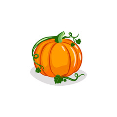 Cute Pumpkin Vector