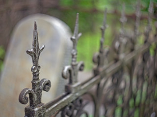 Metal pommel on a lily-shaped fence with blurred background