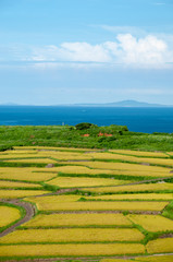 長崎県平戸 生月島の空と海と田園