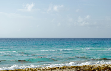 Caribbean Sea beach with sky horizon and water. Wave, cloud