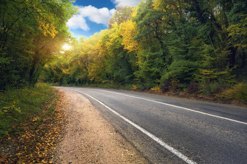 Fototapeta premium asphalt road and forest.