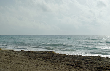 Caribbean Sea beach with sky horizon and water. Wave, cloud