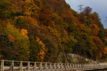 Autumn landscape with bright colorful orange and red trees and leaves along a winding country road