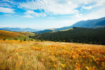 Breathtaking scene of the countryside.