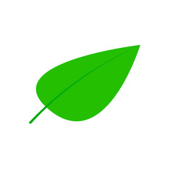 Leaf icon. Vector illustration, eps10
