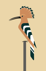 Hoopod spread the tuft © shepherd302