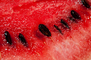 Slices of juicy watermelon shot close-up on a dark background