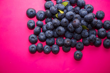 Group of fresh blueberries isolated on pink background.