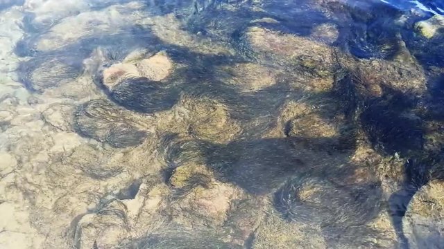 &Aacute;gua calma e transparente