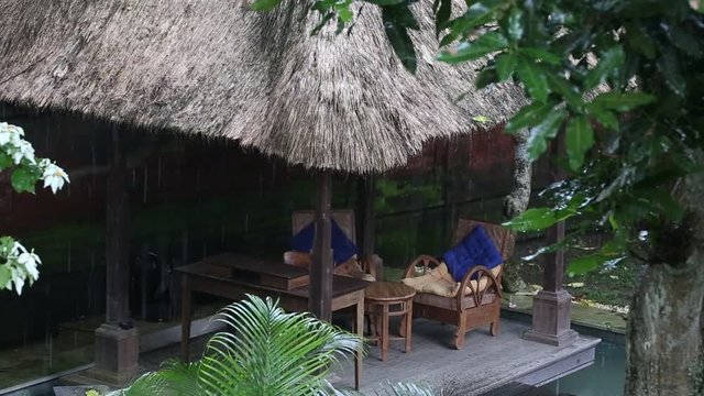 Tropical summer rain falling big rain drops falling down on swimming pool with tropical trees in garden. Island Bali, Ubud, Indonesia