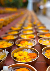 Buddhist flower offerings or gifts in bowls and rows