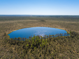 Aerial view of forest lake