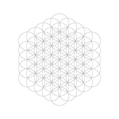 Geometrical figure. Sacred Geometry Flower of Life element. Vector illustration