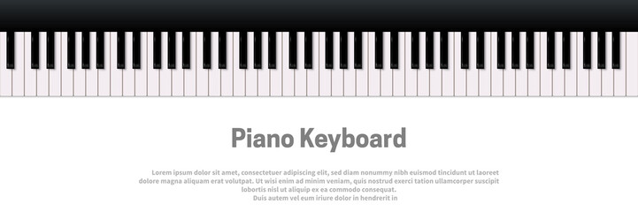 Fototapeta premium Piano keyboard isolated on white background. Vector music design template.