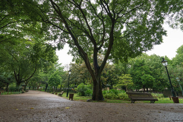 Park at the rainy day