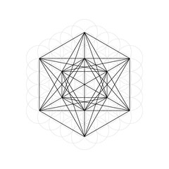 Geometrical figures. Sacred Geometry Davids Star and Flower of Life vector illustration