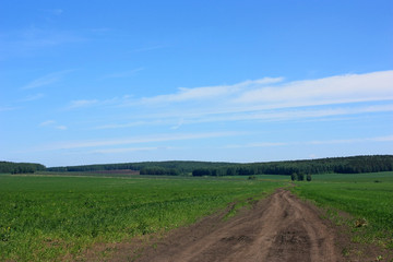 Obraz premium Country road in the field