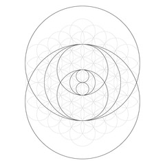Geometrical figure. Sacred Geometry Torus Yantra or Hypnotic Eye vector illustration