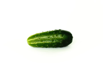 Cucumber