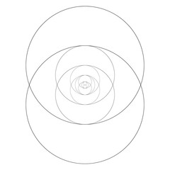 Geometrical figure. Sacred Geometry Torus Yantra or Hypnotic Eye vector illustration
