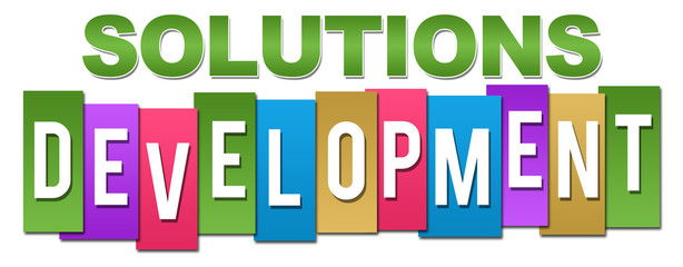 Solutions Development Professional Colorful 