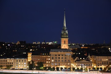 Fototapeta na wymiar Stockholm cityscape from Monteliusvagen Hill