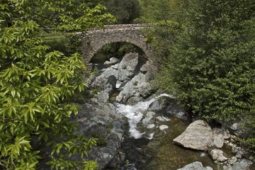 Torrent pyrénéen