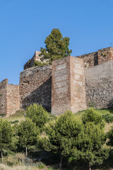 Fototapeta premium External view of Alcazaba Walls - palatial fortress in Malaga built in XI century. Fortress palace, whose name in Arabic means citadel, is one of city's historical monuments. Malaga, Andalusia, Spain.