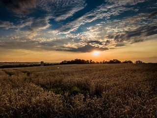 Summer sunset sky