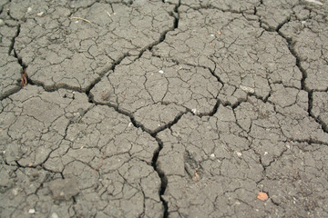Dry cracked ground
