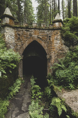 Fototapeta premium Schwarzenberg shipping canal, Sumava Mountains, Czech Republic. Moody retro filter.