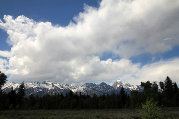 National park Grand Teton in USA