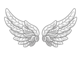 A pair of angel wings with grey and white feathers, wide spread. Contour drawing in modern line style with volume. Vector illustration
