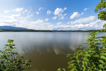 Summer lake near the forest.