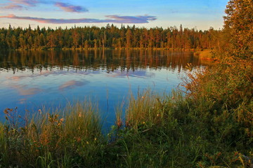 Lake and pine forest at sunset Karelia