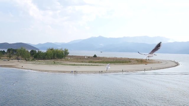 Greece Keramoti beach and Thassos background ferry boat view and sea gulls fly