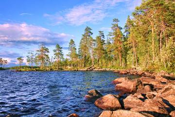 Lanscape with lake and pines Karelia