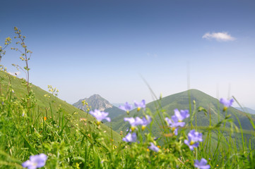 Summer landscape with blue sky and clouds